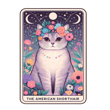 19 Cute Cats Tarot Card