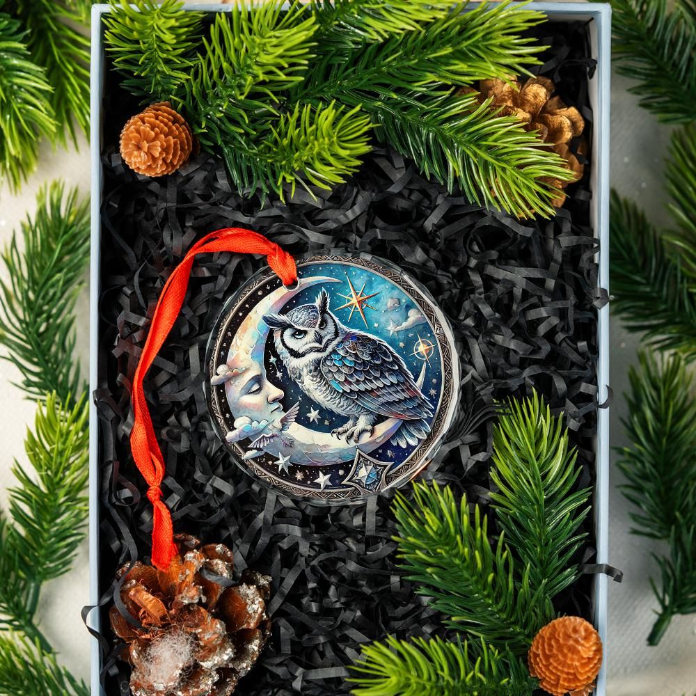 Moon Owl Glass Ornament Snowy Owl Christmas Ornament-MoonChildWorld