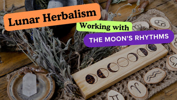 Lunar Herbalism: Harnessing the Moon's Rhythms in Herbal Medicine 🌙
