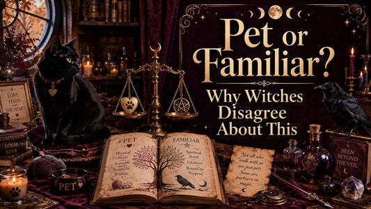 Black cat and raven with magical books and candles explore the pet or familiar debate for witches