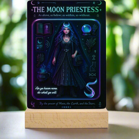 The Moon's Priestess Acrylic Photo Panel Witch Home Decor