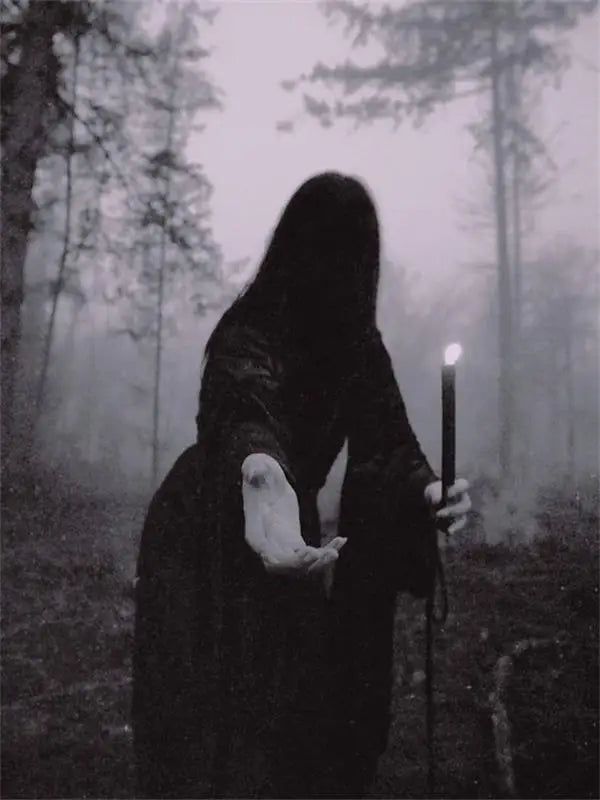 Dark Academia Poster Witch Art Prints Gothic Canvas-MoonChildWorld