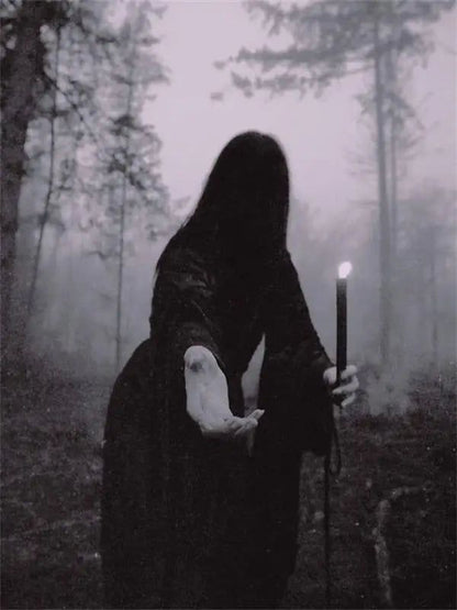 Dark Academia Poster Witch Art Prints Gothic Canvas-MoonChildWorld