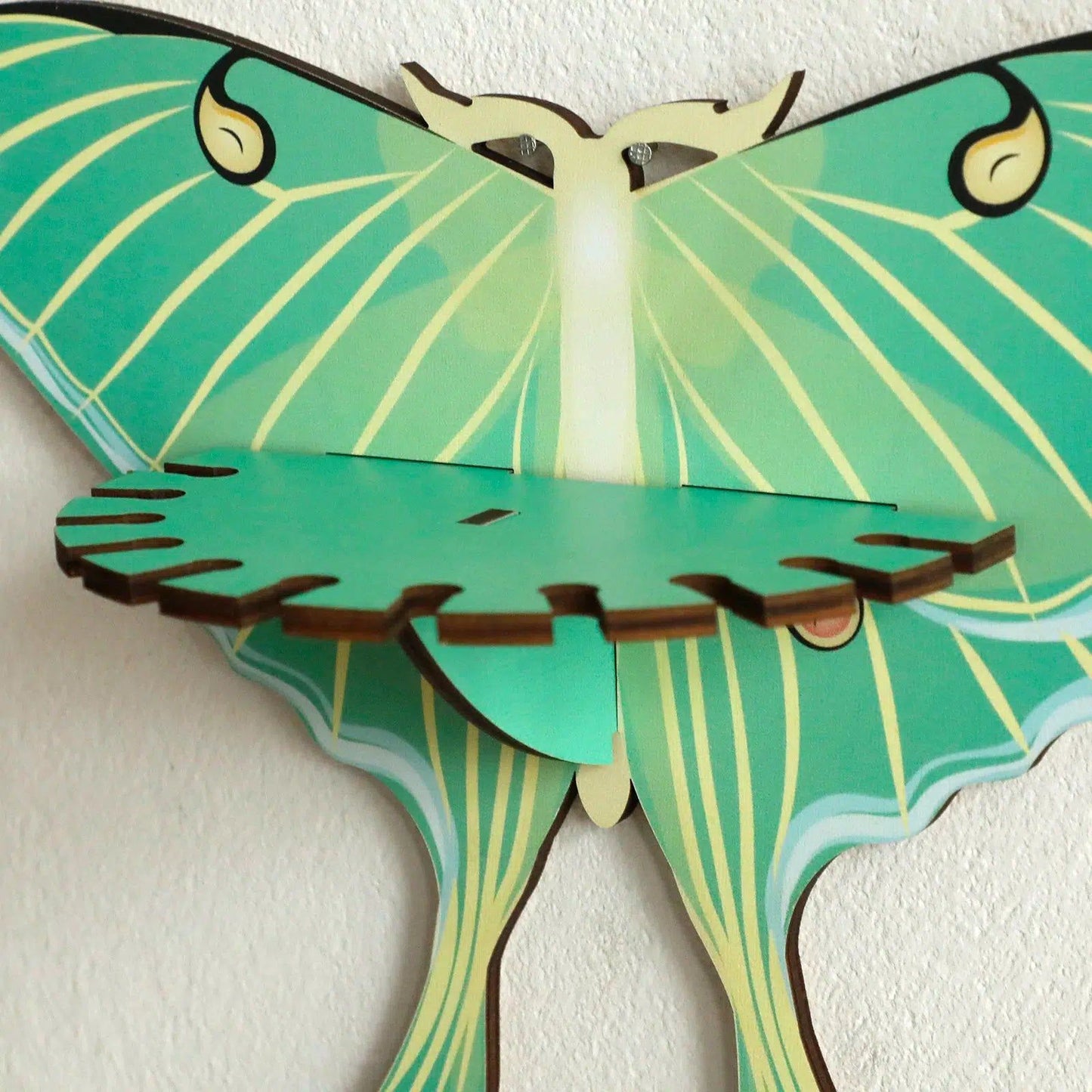 Death Moth Wall Shelf Witchy Crystal Shelf-MoonChildWorld