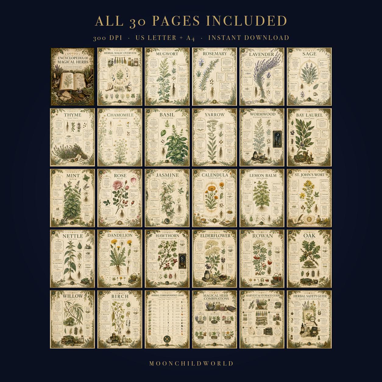 Thirty pages of botanical herb illustrations on vintage-style parchment paper for a witchcraft grimoire or Book of Shadows.