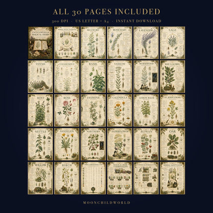 Thirty pages of botanical herb illustrations on vintage-style parchment paper for a witchcraft grimoire or Book of Shadows.