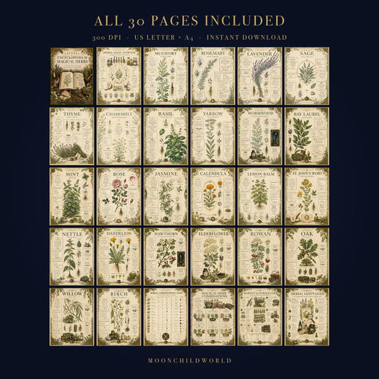 Thirty pages of botanical herb illustrations on vintage-style parchment paper for a witchcraft grimoire or Book of Shadows.