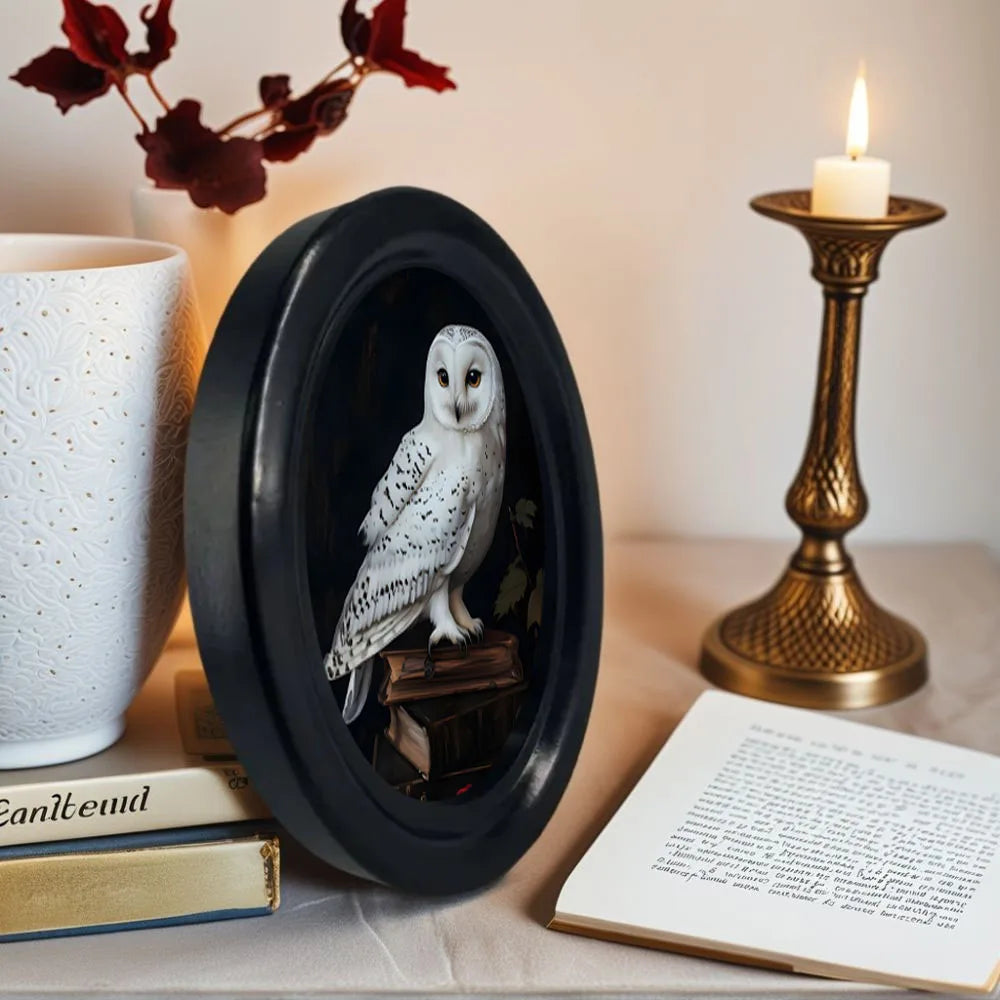 Owl on Book Oval Frame Wall Decoration – size and scale reference