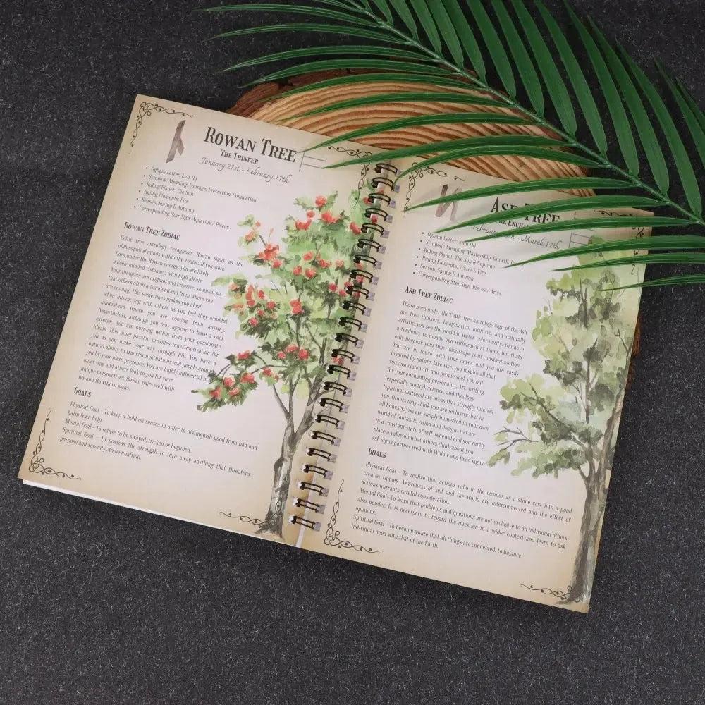 The Celtic Zodiac Spiritual Tree of life Book for Wicca Pagan-MoonChildWorld