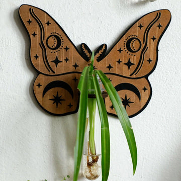 Butterfly Wooden Hanging Plant Holder with Plastic Tubes for Indoor Plants, Hydroponic Planter-MoonChildWorld