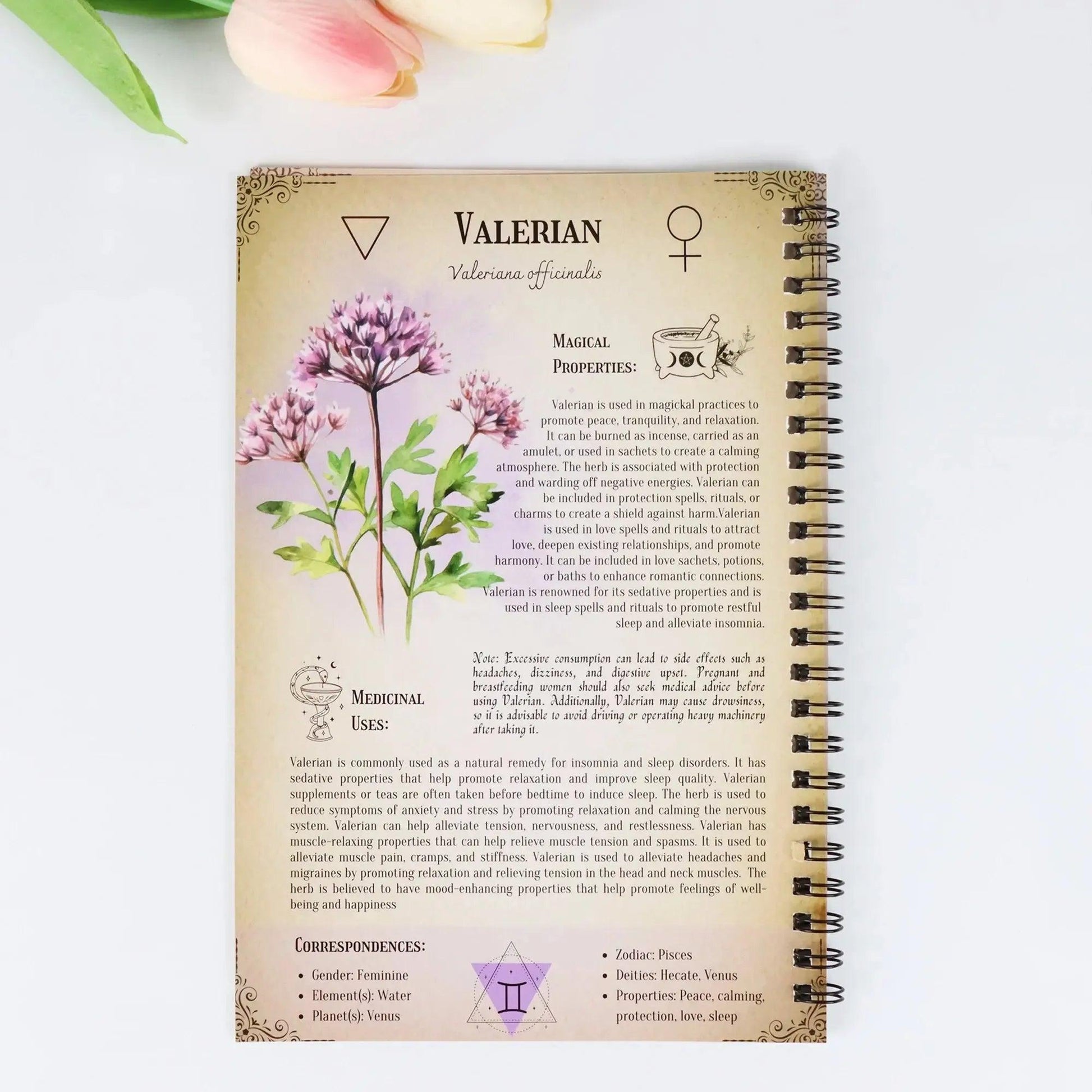 Spell Jars Magical Herb Book Guides Hardcover Illustrated Books Spiritual Growth and Occult Studies-MoonChildWorld