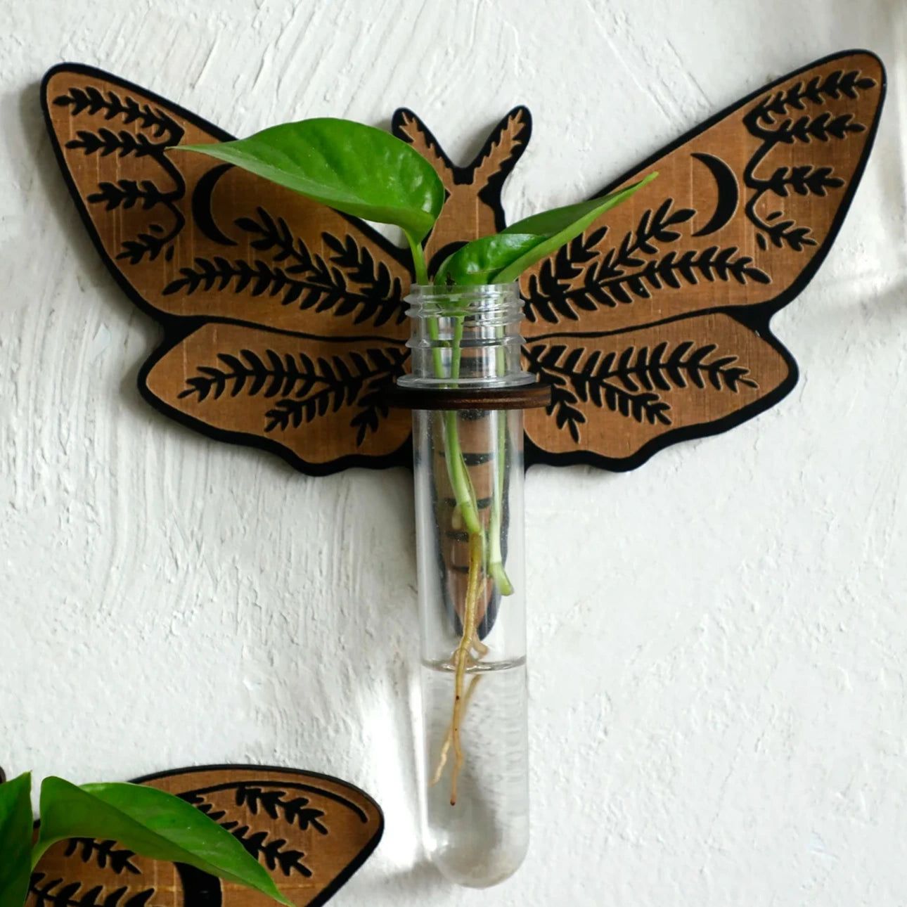 Butterfly Wooden Hanging Plant Holder with Plastic Tubes for Indoor Plants, Hydroponic Planter-MoonChildWorld