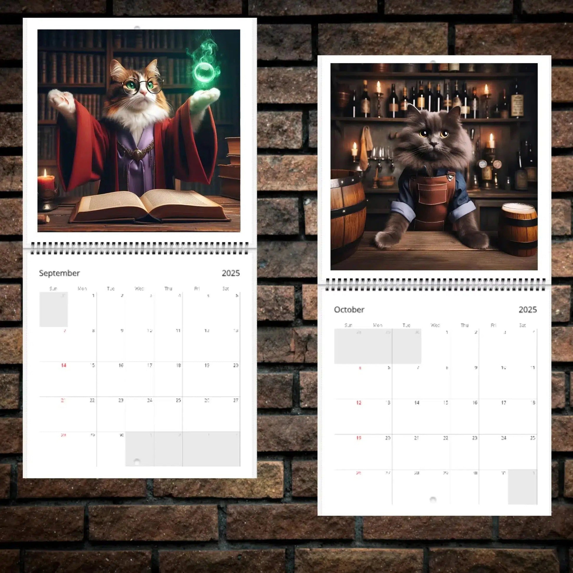 2025 Medieval Exploration Cat Calendar Wizard Cat 2025 Calendar-MoonChildWorld