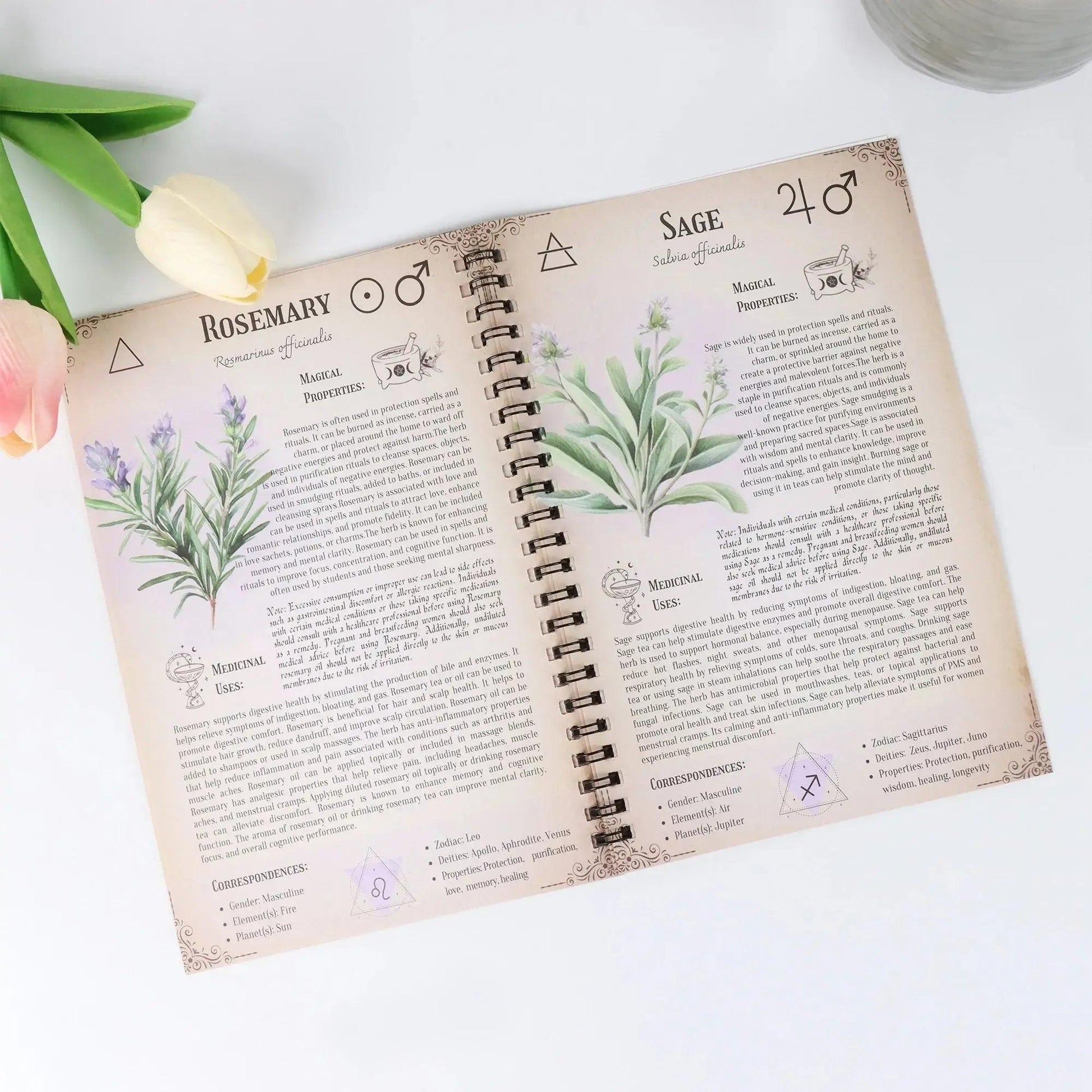 Spell Jars Magical Herb Book Guides Hardcover Illustrated Books Spiritual Growth and Occult Studies-MoonChildWorld