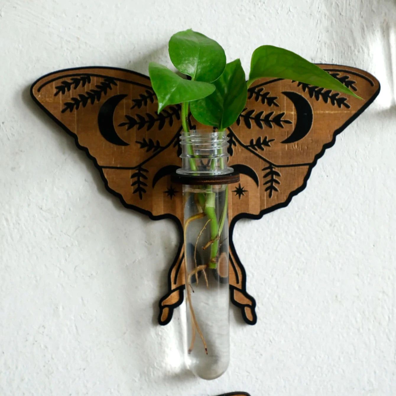 Butterfly Wooden Hanging Plant Holder with Plastic Tubes for Indoor Plants, Hydroponic Planter-MoonChildWorld