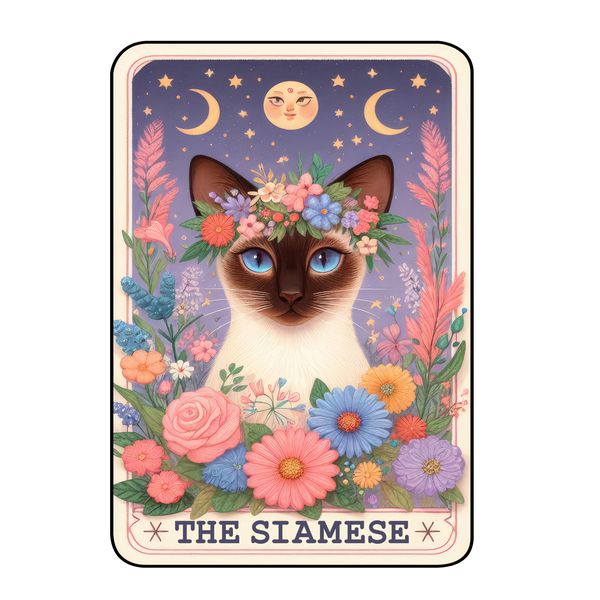 19 Cute Cats Tarot Cards Digital File-MoonChildWorld