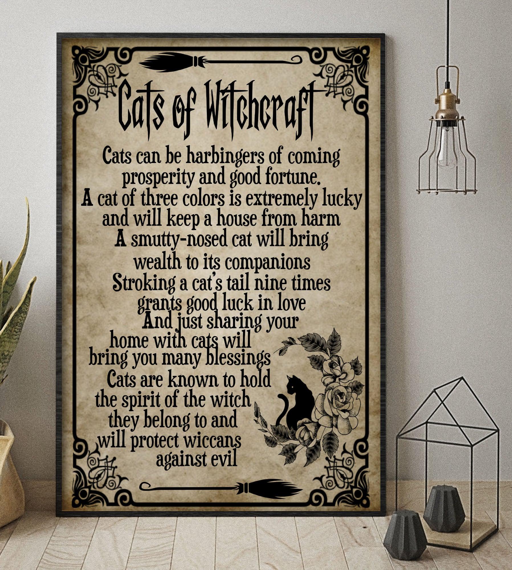 Cat of witchcraft Poster Halloween Poster-MoonChildWorld